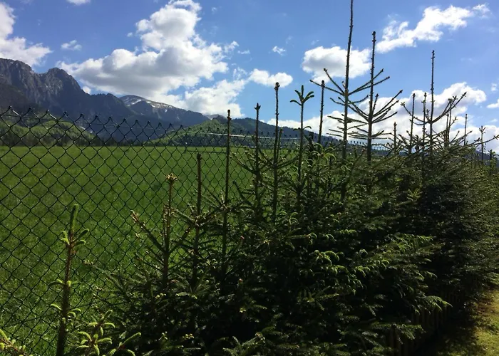 Z Widokiem Na Giewont I Kasprowy *