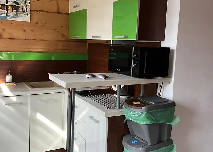 아파트 Z Widokiem Na Giewont I Kasprowy 자코파네