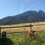 Z Widokiem Na Giewont I Kasprowy * Zakopane