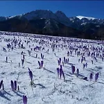 Apartment Z Widokiem Na Giewont I Kasprowy Zakopane