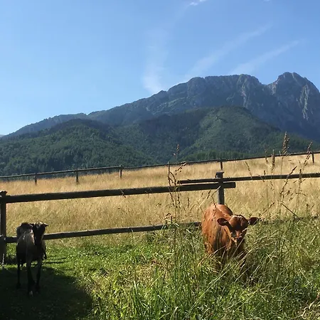 Z Widokiem Na Giewont I Kasprowy * 扎科帕内