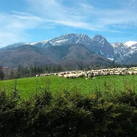 Z Widokiem Na Giewont I Kasprowy *