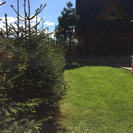 Z Widokiem Na Giewont I Kasprowy