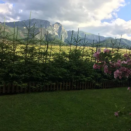 Z Widokiem Na Giewont I Kasprowy 公寓 扎科帕内