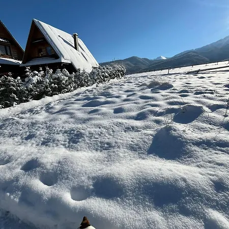 アパート Z Widokiem Na Giewont I Kasprowy ザコパネ