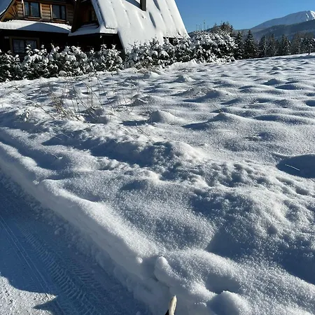 Z Widokiem Na Giewont I Kasprowy 公寓