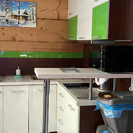 公寓 Z Widokiem Na Giewont I Kasprowy 扎科帕内