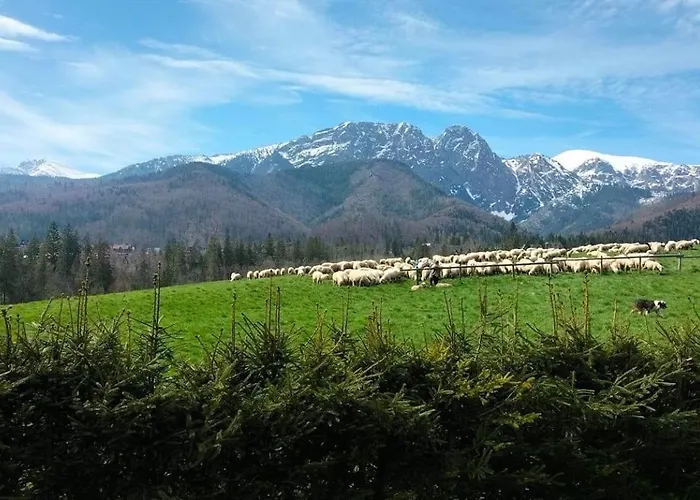 Z Widokiem Na Giewont I Kasprowy *